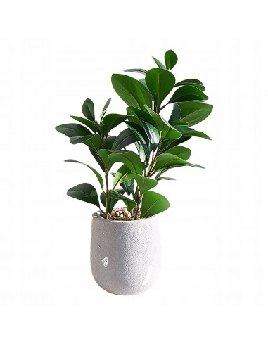 SZTUCZNA Roślina W DONICZCE REALISTYCZNA 38cm Fikus FIGOWIEC Piękny