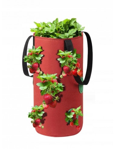 Doniczka WISZĄCA Worek POMIDORKI Warzywa TRUSKAWKI POZIOMKI KIESZENIE 35cm
