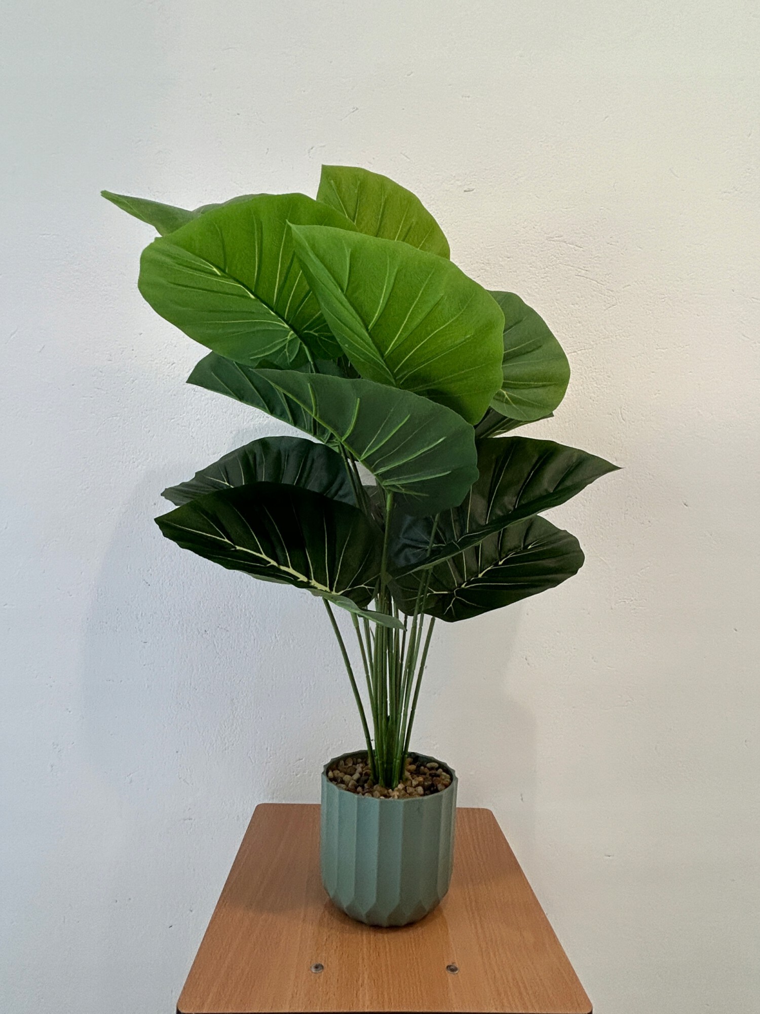 SZTUCZNA Roślina ALOKAZJA UCHO SŁONIA W DONICZCE REALISTYCZNA 60cm KRZAK - obrazek 2