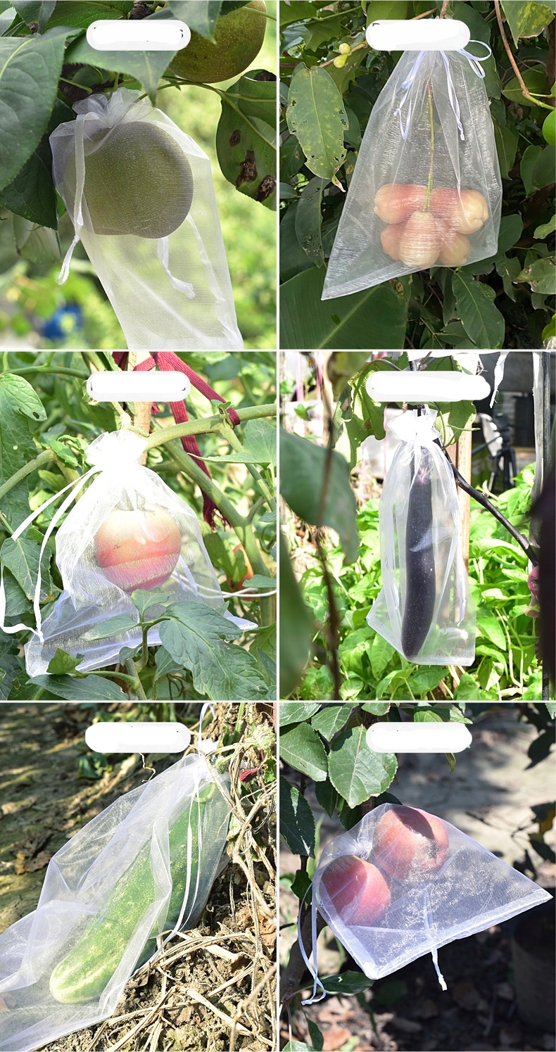 WORECZKI Osłony NA OWOCE WARZYWA SZKODNIKI 20szt - obrazek 8