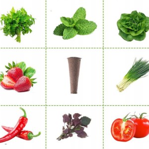 ROZSADA ZESTAW STARTOWY INSPEKT SADZONKI 50 WKŁADÓW PODŁOŻE HYDROPONIKA - miniatura 12