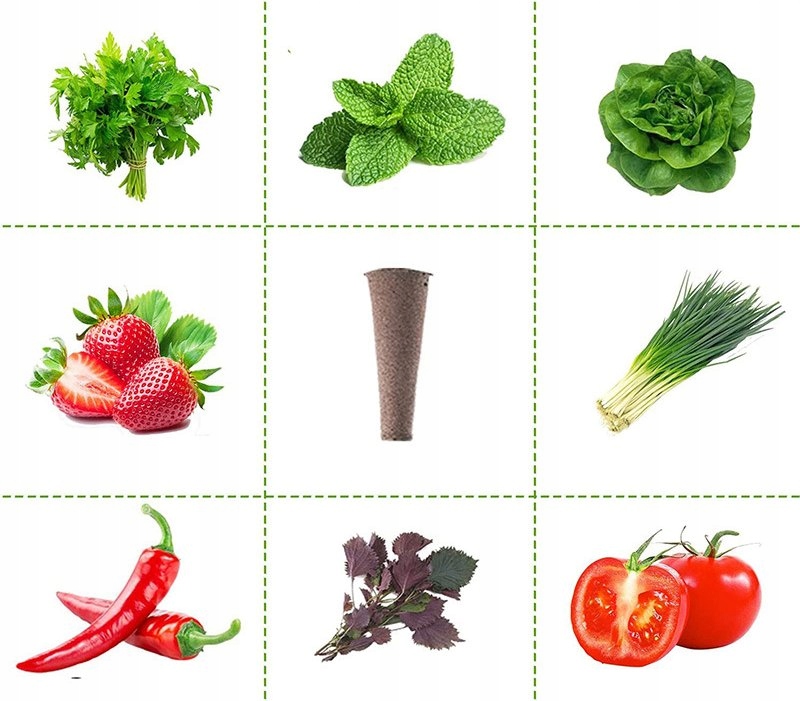 ROZSADA ZESTAW STARTOWY INSPEKT SADZONKI 50 WKŁADÓW PODŁOŻE HYDROPONIKA - obrazek 12