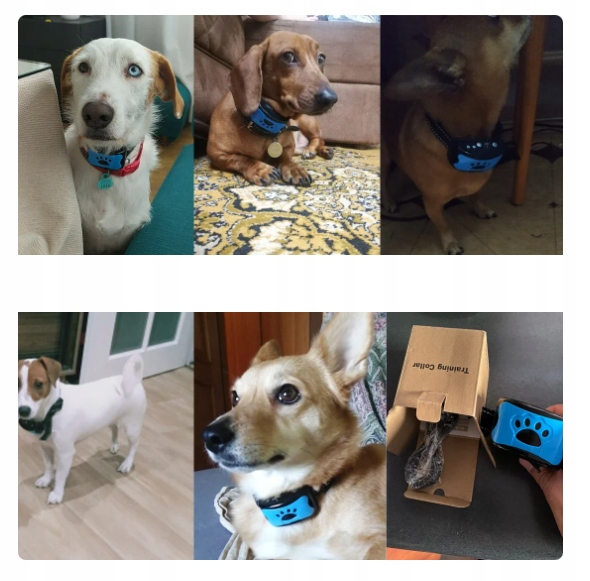 Obroża ANTYSZCZEKOWA Szkoleniowa PSÓW bez PRĄDU WIBRACJE DŹWIĘK IP65 USB - obrazek 2