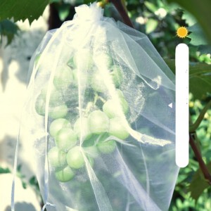 WORECZKI Osłony NA OWOCE WARZYWA SZKODNIKI 50szt - miniatura 9