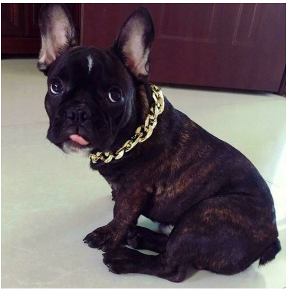 Obroża dla psa Łańcuch ZŁOTY Pozłacany AG01 - obrazek 4