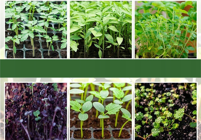 MINI SZKLARNIA LED 5x Lampek 5x Szklarni USB Regulowana wentylacja ROZSADA - obrazek 12