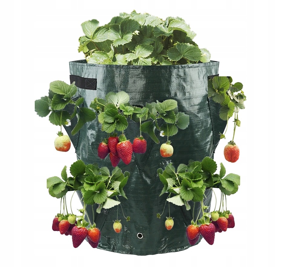 Doniczka KASKADA Worek na WARZYWA WISZĄCA TRUSKAWKI POZIOMKI KIESZENIE 35cm