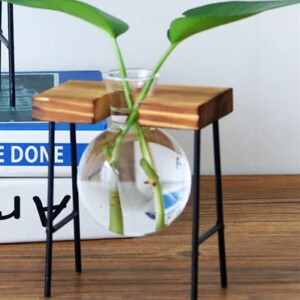 DONICA Ozdobna SZKLANA DREWNO Hydroponika UKORZENIACZ 1szt STOJAK BAMBUS - miniatura 6