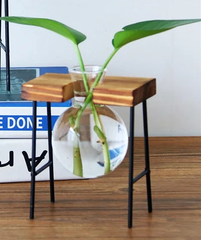 DONICA Ozdobna SZKLANA DREWNO Hydroponika UKORZENIACZ 1szt STOJAK BAMBUS - obrazek 6