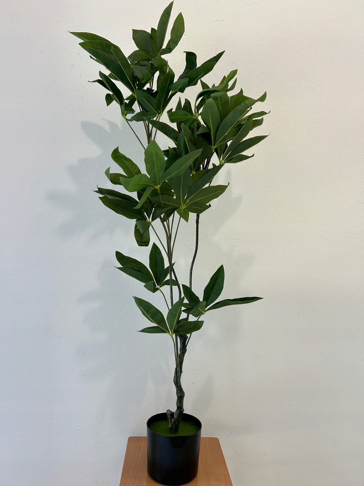 SZTUCZNA Roślina PACHIRA DRZEWKO SZCZĘŚCIA W DONICZCE REALISTYCZNA 120cm XL - obrazek 6