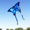 LATAWIEC XXL Motyl NIEBIESKI Świecący LED 150cm - miniatura 7
