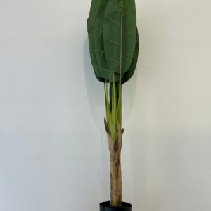 SZTUCZNA Roślina PALMA BANANOWIEC PODWÓJNY W DONICZCE REALISTYCZNY 150cm - miniatura 3