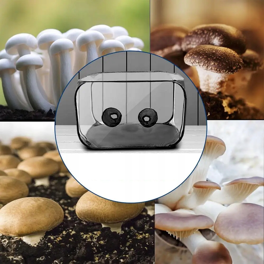 DUŻY POJEMNIK DO DOMOWEJ UPRAWY GRZYBÓW NAMIOT SKŁADANY MOBILNY PRZENOŚNY - zdjęcie 4