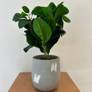 SZTUCZNA Roślina W DONICZCE REALISTYCZNA 38cm Fikus FIGOWIEC Piękny - miniatura 9