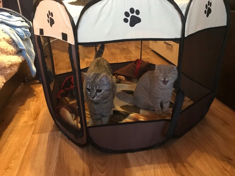 KOJEC LEGOWISKO KENNEL DLA PSA KOTA 112cm roz. XL - zdjęcie 10