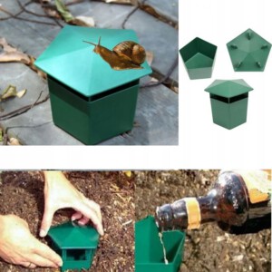 PUŁAPKA NA ŚLIMAKI Naturalna EKOLOGICZNA WABIK Przeciw ŚLIMAKOM Domek XL - miniatura 15