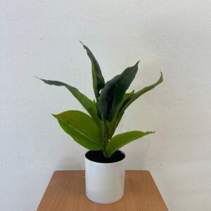 SZTUCZNA Roślina W DONICZCE REALISTYCZNA 34cm Fikus FIGOWIEC DEKORACJA - miniatura 3