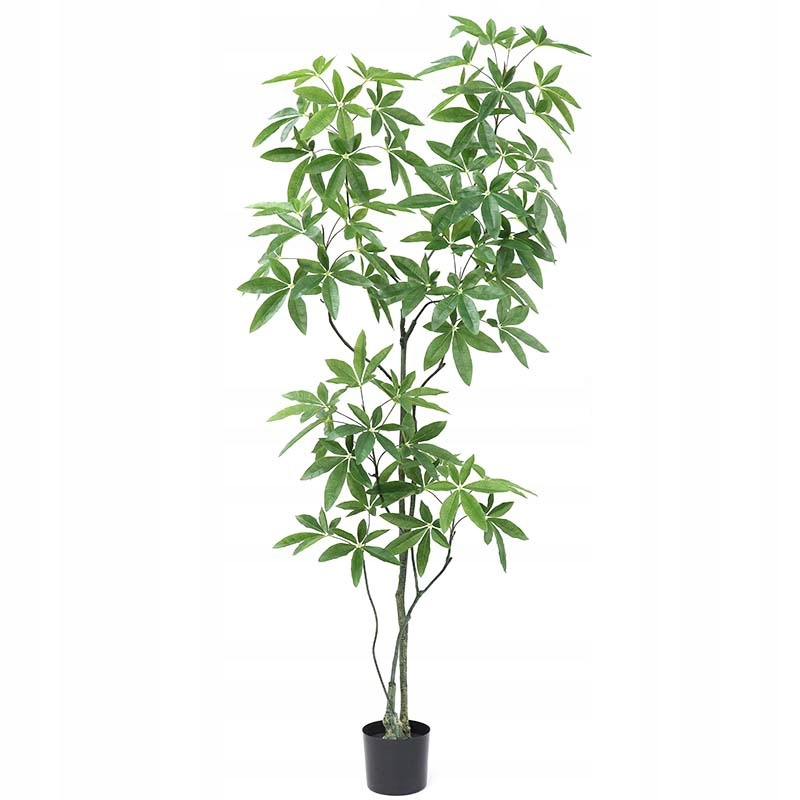 SZTUCZNA Roślina PACHIRA W DONICZCE REALISTYCZNA 60cm KRZACZEK PIĘKNA - zdjęcie 4