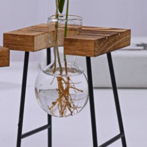 DONICA Ozdobna SZKLANA DREWNO Hydroponika UKORZENIACZ 1szt STOJAK BAMBUS - miniatura 5