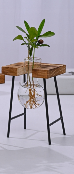 DONICA Ozdobna SZKLANA DREWNO Hydroponika UKORZENIACZ 1szt STOJAK BAMBUS - obrazek 5