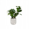 SZTUCZNA Roślina W DONICZCE REALISTYCZNA 38cm Fikus FIGOWIEC Piękny - miniatura 3