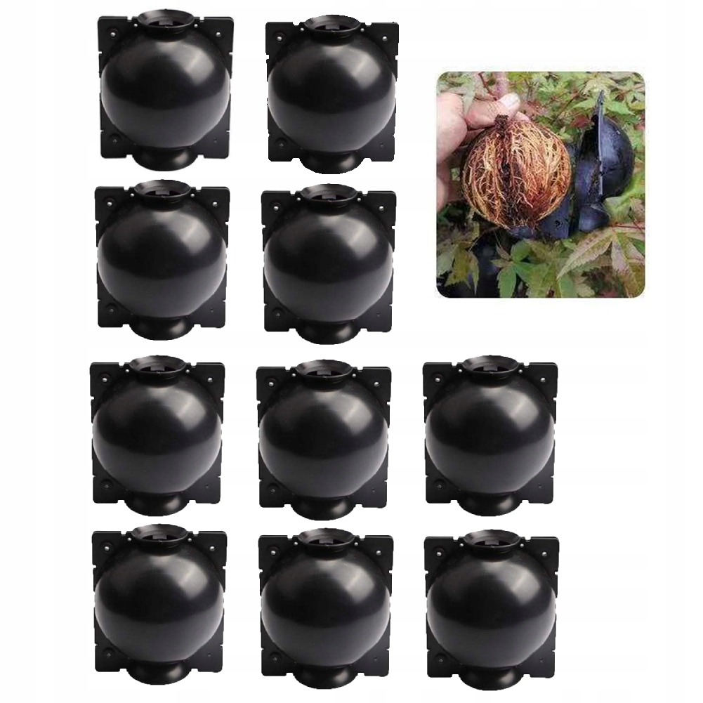 KULE Ukorzeniana SADZONKI Ukorzeniacz ROZMNAŻANIE Sad ROŚLIN KLONOWANIE 10x