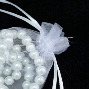 WORECZKI Osłony NA OWOCE WARZYWA SZKODNIKI 50szt - miniatura 4