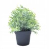 SZTUCZNA Roślina W DONICZCE REALISTYCZNA 20cm ŁADNA KRZACZEK ROZMARYN - miniatura 1