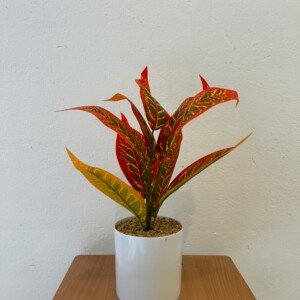 SZTUCZNA Roślina W DONICZCE REALISTYCZNA 34cm KRZACZEK Bonsai DEKORACJA - miniatura 2