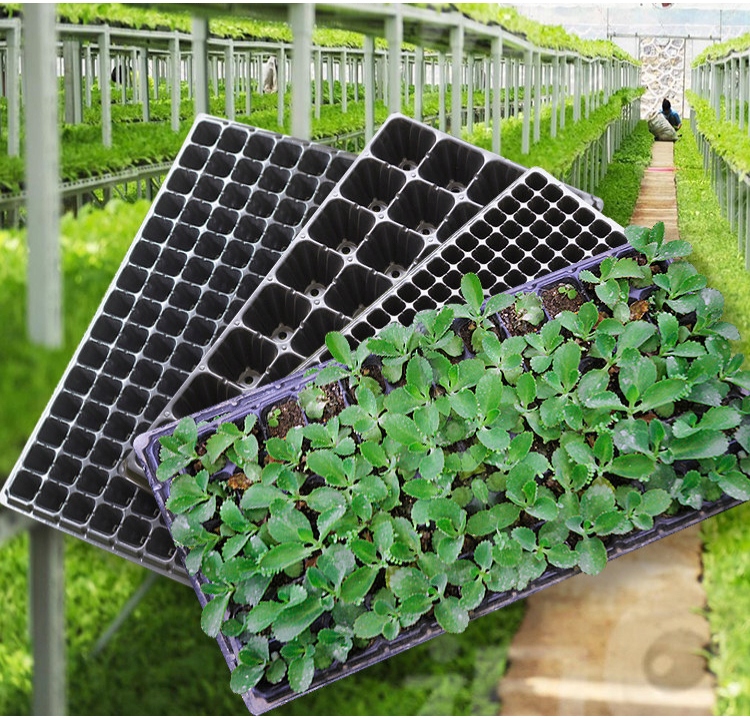 MINI SZKLARNIA LED 5x Lampek 5x Szklarni USB Regulowana wentylacja ROZSADA - obrazek 9