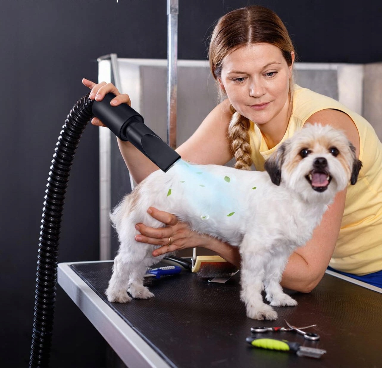 SUSZARKA DLA ZWIERZĄT Psów Kotów GROOMERSKA do SIERŚCI WŁOSÓW 2800W Mocna - obrazek 7