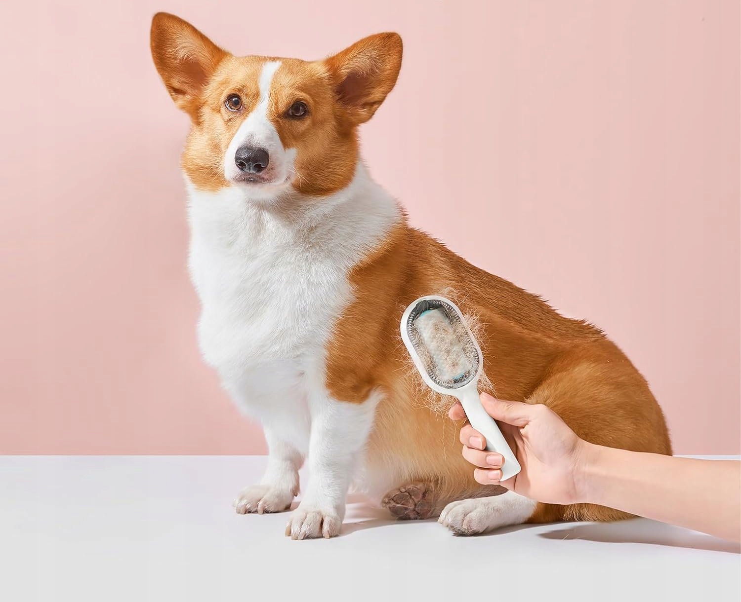 SZCZOTKA DLA ZWIERZĄT na SIERŚĆ KŁACZKI Dozownik WODĘ MASAŻER PSÓW KOTÓW - obrazek 8