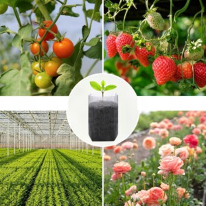 WORECZKI do SADZENIA ROŚLIN SADZONEK ROZSADA Biodegradowalne 100szt 8x10cm - miniatura 12