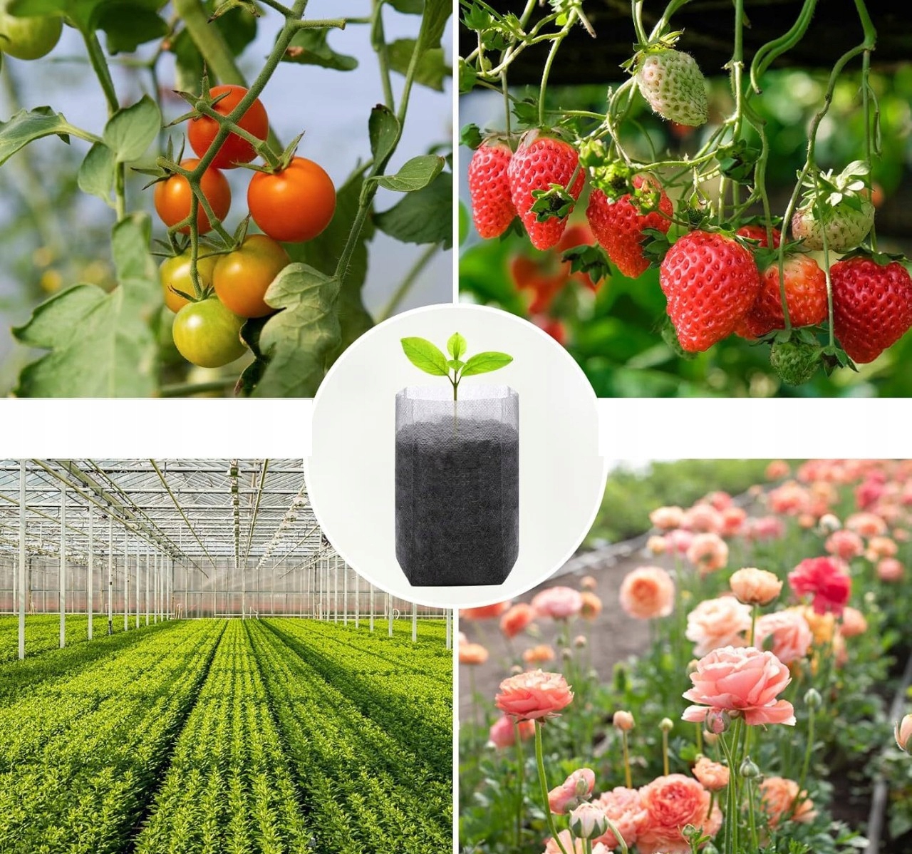 WORECZKI do SADZENIA ROŚLIN SADZONEK ROZSADA Biodegradowalne 100szt 8x10cm - obrazek 12