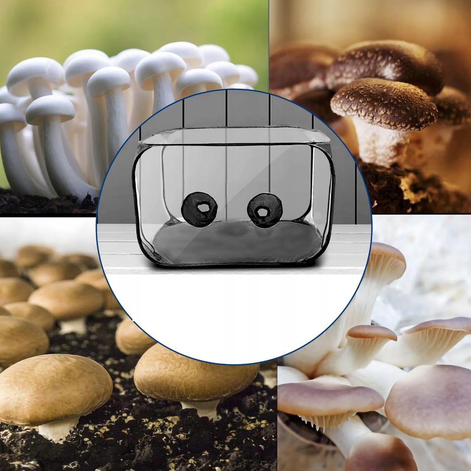 DUŻY POJEMNIK DO DOMOWEJ UPRAWY GRZYBÓW NAMIOT SKŁADANY MOBILNY PRZENOŚNY - zdjęcie 5