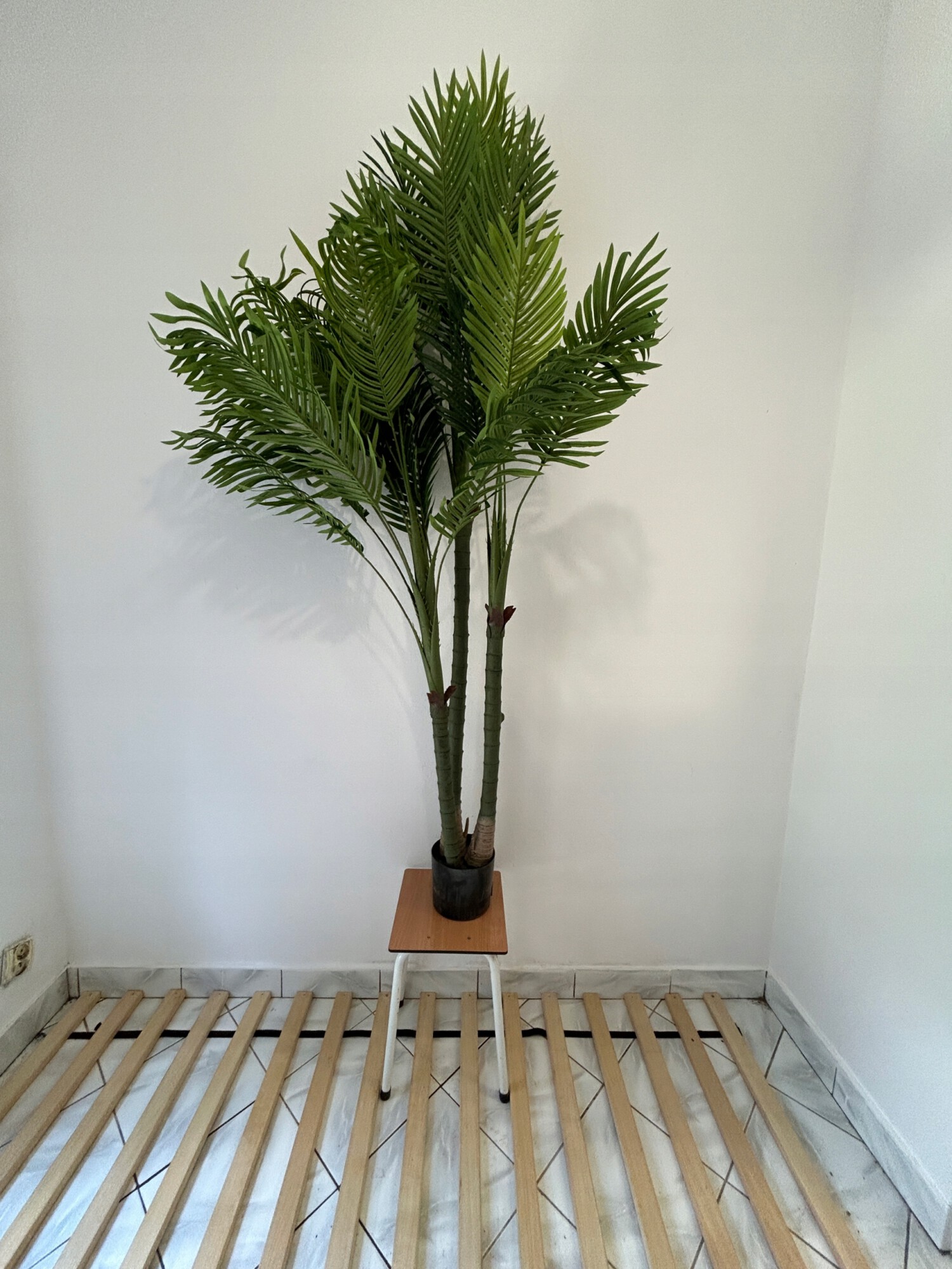 SZTUCZNA Roślina PALMA EGZOTYCZNA POTRÓJNA W DONICZCE REALISTYCZNA 200cm - obrazek 3