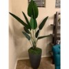 SZTUCZNA Roślina PALMA BANANOWIEC XXL W DONICZCE REALISTYCZNY 110cm - miniatura 4