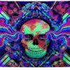 Dekoracja ŚCIENNA UV OBRAZ Fluorescencyjny GOBELIN ODBLASK 150x150cm Czacha - miniatura 1