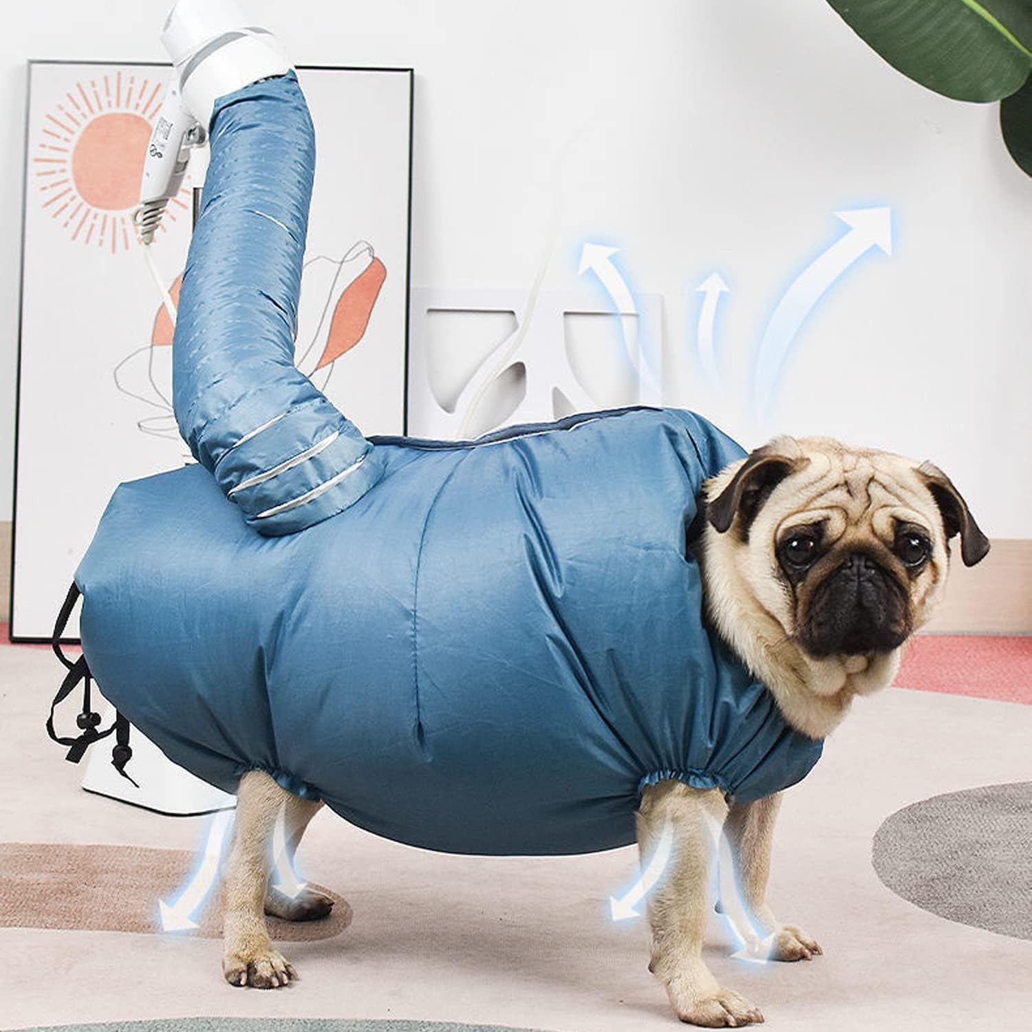 SUSZARKA DLA ZWIERZĄT PSÓW KOTÓW 6-15kg KOMBINEZON DO SUSZENIA - obrazek 7