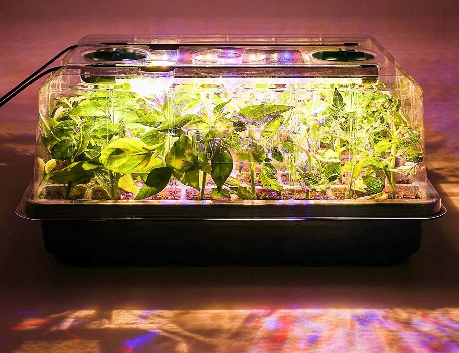 MINI SZKLARNIA LED Lampki Szklarnia USB Regulowana Wentylacja ROZSADA 80x - zdjęcie 7