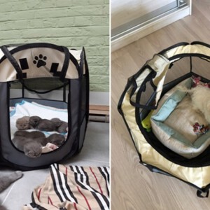KOJEC LEGOWISKO KENNEL DLA PSA KOTA 112cm roz. XL - miniatura 11