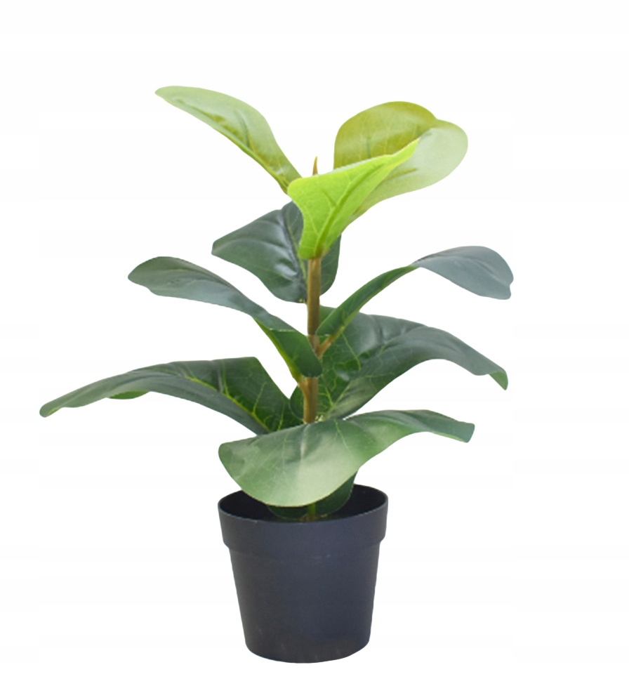 SZTUCZNA ROŚLINA KWIAT W DONICZCE DO DOMU BIURA REALISTYCZNA 35CM FIKUS