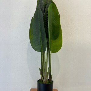 SZTUCZNA Roślina PALMA Strelitzia RAJSKI PTAK W DONICZCE REALISTYCZNA 120cm - miniatura 4