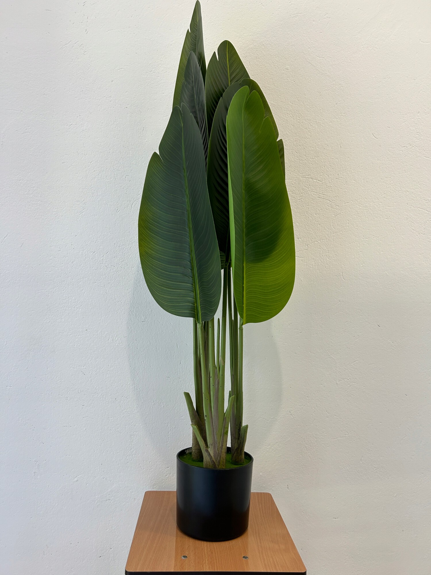 SZTUCZNA Roślina PALMA Strelitzia RAJSKI PTAK W DONICZCE REALISTYCZNA 120cm - obrazek 4