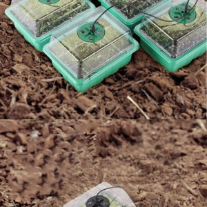 MINI SZKLARNIA LED 5x Lampek 5x Szklarni USB Regulowana wentylacja ROZSADA - miniatura 6