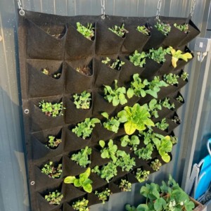 Doniczka WISZĄCA FILC Kaskada WARZYW ZIÓŁ TRUSKAWEK Ogród ZIELNIK 9 miejsc - miniatura 7