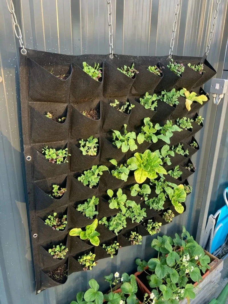 Doniczka WISZĄCA FILC Kaskada WARZYW ZIÓŁ TRUSKAWEK Ogród ZIELNIK 18 miejsc - obrazek 5