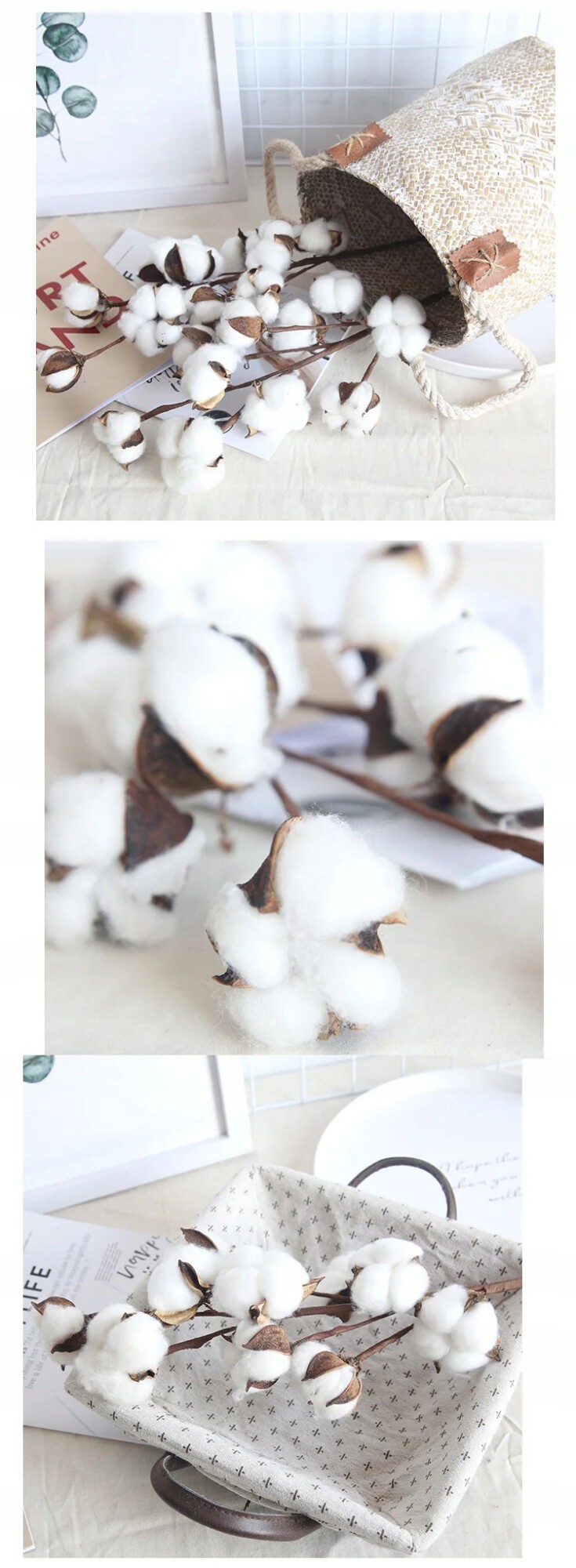 NATURALNA ROŚLINA BAWEŁNA GAŁĄZKA DEKORACYJNA OZDOBA RESTAURACJA SALON 53cm - zdjęcie 7