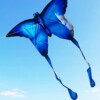 LATAWIEC XXL Motyl NIEBIESKI Świecący LED 150cm - miniatura 8