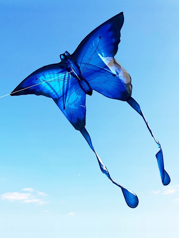 LATAWIEC XXL Motyl NIEBIESKI Świecący LED 150cm - zdjęcie 8